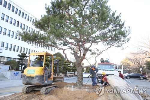 친일인사 교가 없애고 일본 나무 뽑고…일제 잔재 지우는 교육계