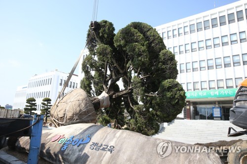 친일인사 교가 없애고 일본 나무 뽑고…일제 잔재 지우는 교육계