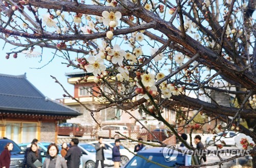 "올해 봄, 평년보다 기온 높고 황사 많이 온다"