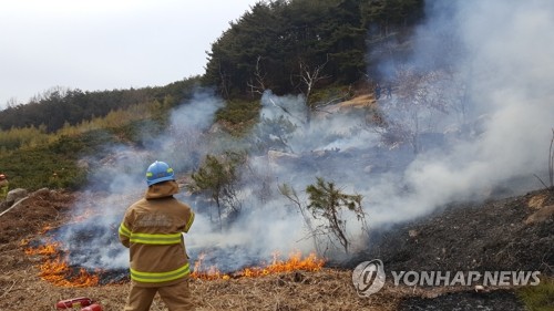 부산 기장군 달음산 정상서 산불…1시간 만에 진화