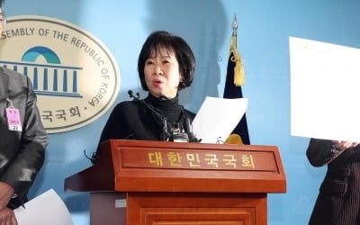 시민단체, 손혜원 '청탁금지법 위반 및 직권남용죄' 고발장 접수