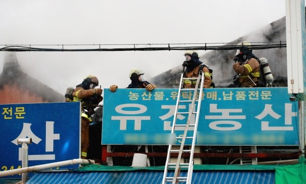  15일 오전 서울 동대문구 제기동 경동시장 점포에서 화재가 발생해 소방대원들이 진화 작업을 벌이고 있다. /사진=연합뉴스