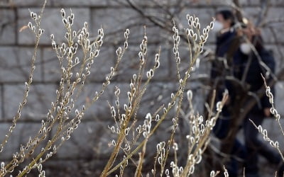 [날씨] 낮 최고 9~14도…남부 지방 약한 비