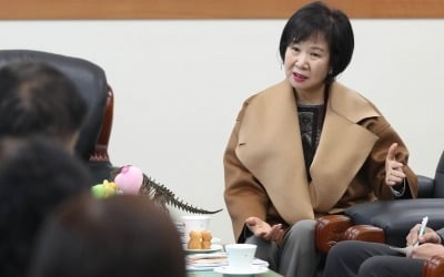 손혜원 동생 "투기 부동산 7건 더 있다…아니면 고소하라"