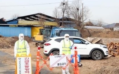 구제역 의심 충주 노은면 한우 농가 소 '음성'으로 판정