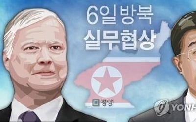 비건 탑승추정 미군기 오산서 이륙…평양서 북·미 실무협상