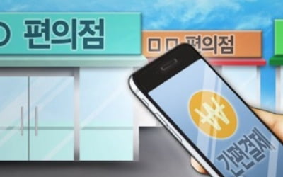 페이 규제 확 푼다…200만원 결제한도 확대 1분기중 추진