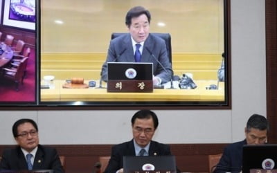 이총리 "2차 북미정상회담, 한반도 평화에 의미있는 진전 기대"