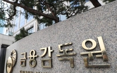 "사외이사는 어떤 의견 냈는지"…금융사 10곳중 8곳 부실공시