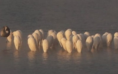 '춥다 추워' 화천 영하 17.9도…바람에 체감기온 '뚝'