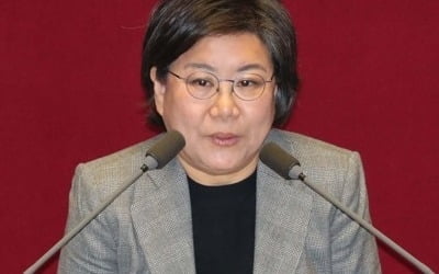 검찰 '사업가 금품수수 의혹' 이혜훈 의원 소환조사