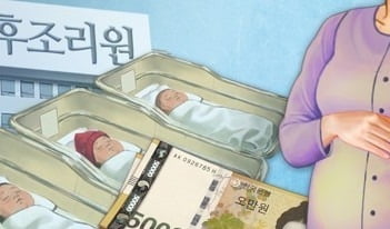 '황금돼지 해' 서울 산후조리원 이용료 155만~2500만원