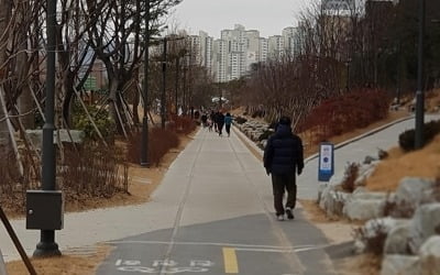 규모 4.1 지진, 포항시민 큰 동요 없어…"불안감은 상존"