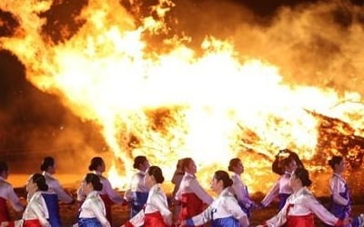 구제역 직격탄 맞은 정월대보름 행사, 줄줄이 취소·축소·연기