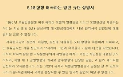 '5·18 망언'에 독일 교민들 "국격 손상 망국적 발언…처벌해야"