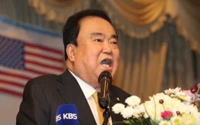 문의장 "한반도 평화정착 문제 해결되면 한국경제 대박"