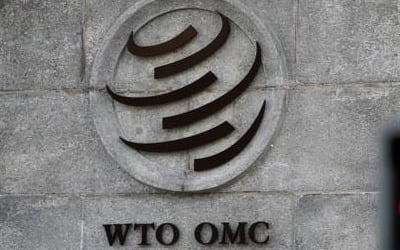 WTO 무력화 나선 美, '개도국 우대' 축소 거듭 주장