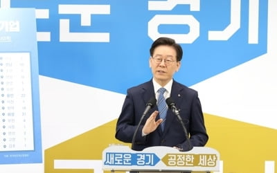 이재명 "집안일 법정서 공개는 가혹…상처를 놀리지 말라"