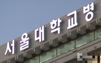 차기 서울대병원장은 누구…역대 최다 8명 출마 '채비'