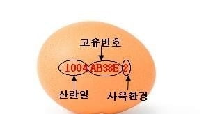 오래된 달걀 유통 차단…23일부터 달걀껍데기에 산란일자 표시