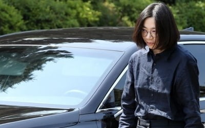 조현아 남편 "상습 폭행당했다"…이혼소송 중 아내 고소