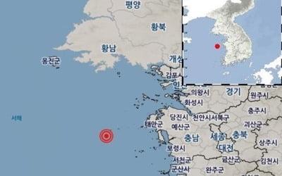 충남 태안 인근 해역서 규모 2.9 지진…"피해 없을 것"