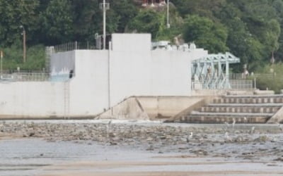 세종보·죽산보 첫 해체 결정…공주보는 다리만 남기고 철거