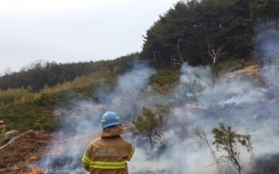 부산 기장군 달음산 정상서 산불…1시간 만에 진화