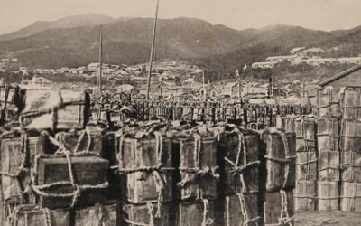 '바다의 유관순' 강관순 열사…100년 전 어부도 독립을 외쳤다