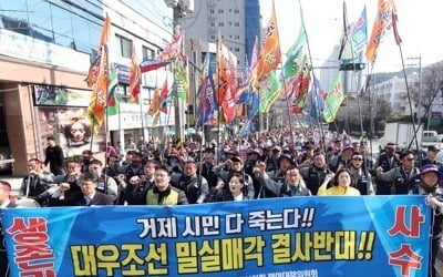 경남도 "대우조선 매각, 지역경제·고용 영향 고려해야" 건의