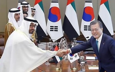 文대통령 "오늘 북미회담 중요"…UAE왕세제 "중동에도 큰 함의"