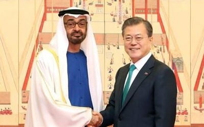 문대통령, UAE 왕세제에 "원전협력, 100년 바라보며 같이 가자"