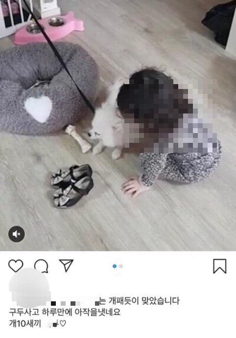 와글와글｜인스타 '강아지 학대' 영상 논란…"엄마 이해불가" 네티즌 분노