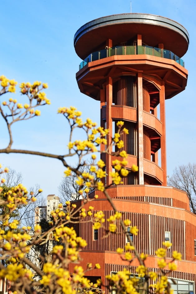 수원시, 오는 21일 광교호수 한눈에 볼 수 있는 '프라이부르크 전망대' 개관 