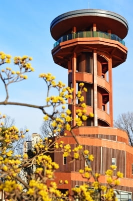 수원시, 오는 21일 광교호수 한눈에 볼 수 있는 '프라이부르크 전망대' 개관