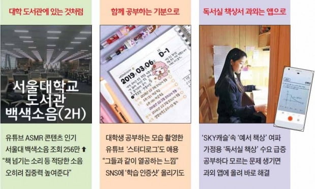 '서울대 도서관 백색소음' 듣고 인스타에 '출석 체크'