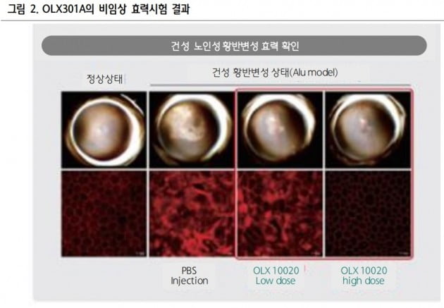 "올릭스, 시작되는 기술수출"-하나