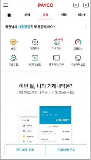 페이코, 카드조회 서비스 선보여 