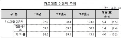 지난해 카드대출 이용액 100조 재돌파…전년比 5.5%↑