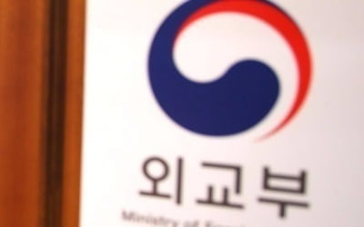 외교부 "한미공조, 지금까지처럼 공고하게 진행할 것"