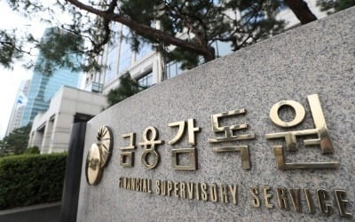 금감원 "스타트업 지분은 회계심사 때 원가 평가 인정"