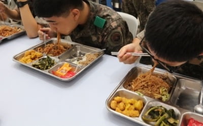 헌재 "사회복무요원과 현역 군인 급식비 차별대우는 합리적"