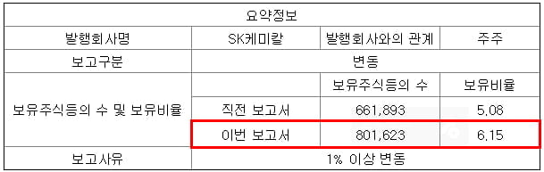 주식등의 대량보유상황보고서