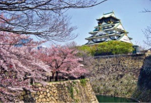 이달 22일 벚꽃 개화가 예상되는 오사카의 명소 오사카성.  