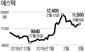 팰리세이드 효과…가속페달 밟는 에스텍