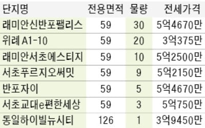 시세의 60%…서초·송파 등 장기임대 78가구 공급