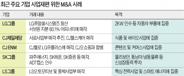 속도 붙은 사업재편…보수적인 LG까지 '올인'