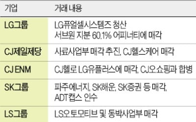 속도 붙은 사업재편…보수적인 LG까지 '올인'