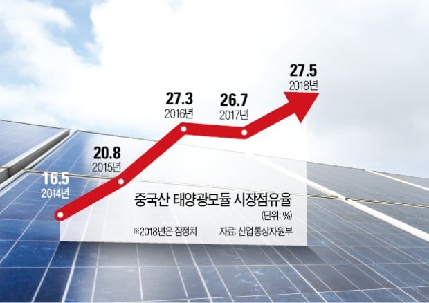 신재생에너지 시장 커지는데…몰려오는 중국산 모듈, 국내 태양광 기업 '먹구름'