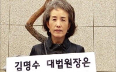 "법치 뒤흔든 김명수 물러나라"…박선영 교수, 대법 앞 1인 시위